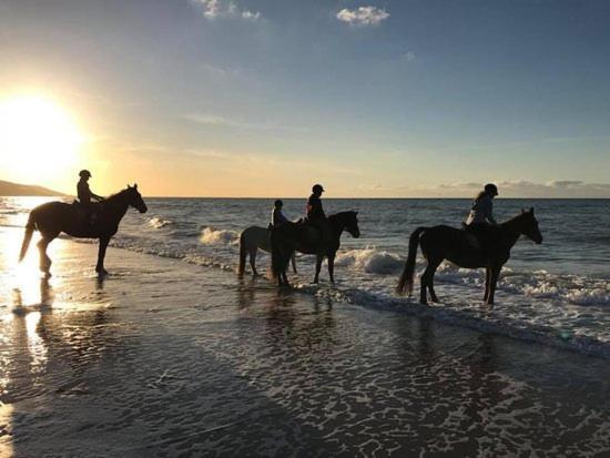 Appartement Les Pieds Dans L'Eau à Bernières-sur-Mer Extérieur photo