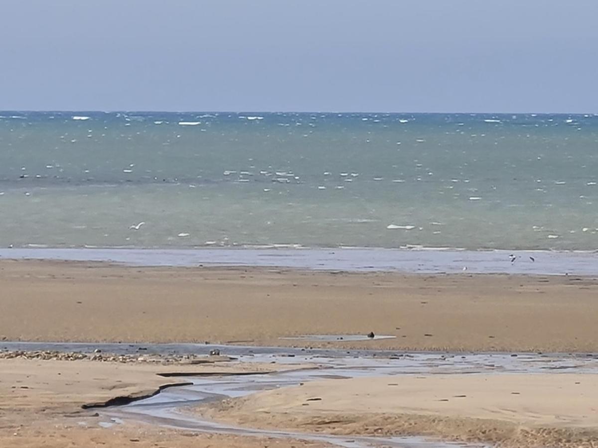 Appartement Les Pieds Dans L'Eau à Bernières-sur-Mer Extérieur photo
