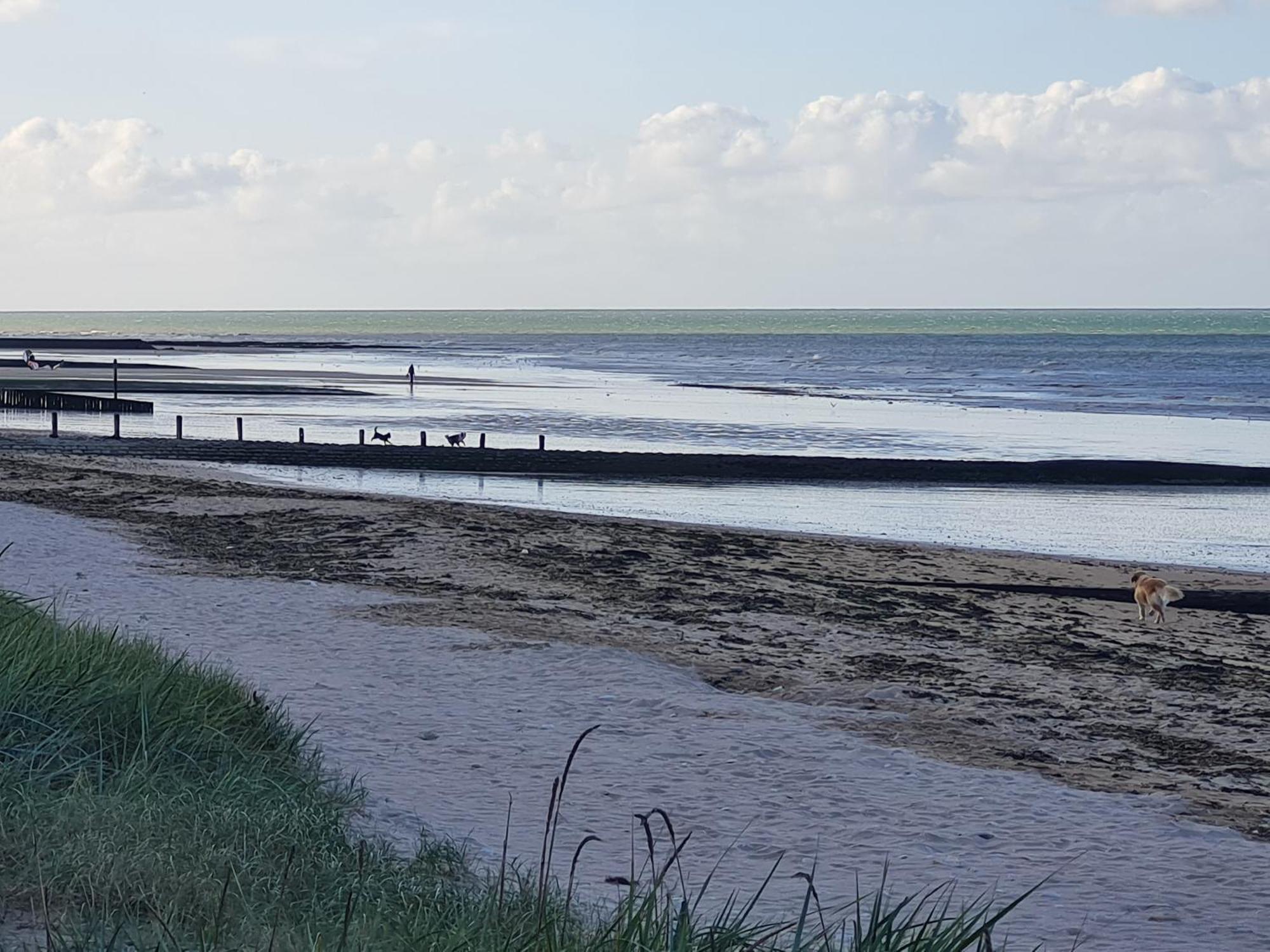 Appartement Les Pieds Dans L'Eau à Bernières-sur-Mer Extérieur photo